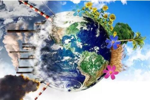 農(nóng)業(yè)的芯片：種子，水稻和小麥國產(chǎn)化率高，其他竟然全部進口為主？